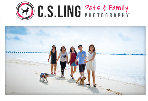 Pets & Fmaily Photography